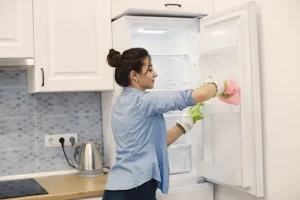 Como limpiar la heladera